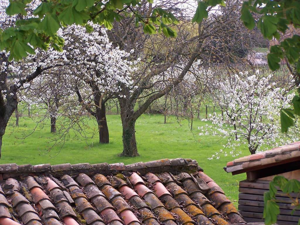 Clos De Pomeir Guest House Pommiers  ภายนอก รูปภาพ